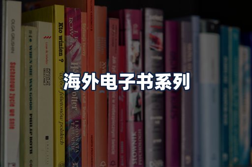 海外电子书